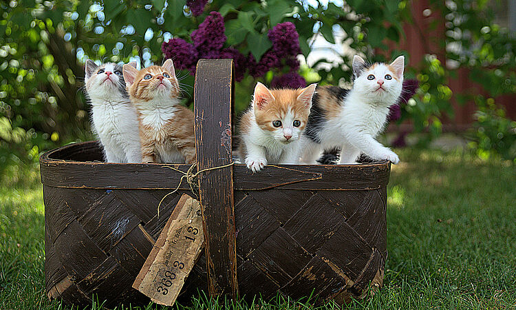 Autohaus Digital:  Begriffe, die uns im digitalen Autohausmarketing 2020 am meisten beschäftigt haben